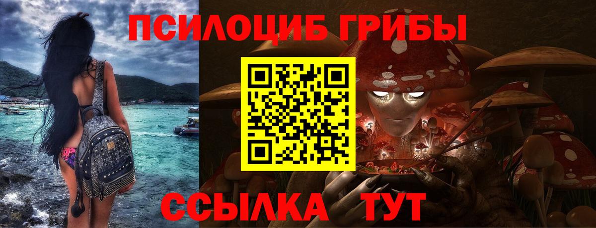 Галлюциногенные грибы мухоморы  Вход с VPN  Елизово 